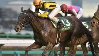 【金鯱賞予想】今年も荒れる!? 買い目に入れたい条件揃った「オススメの穴馬」