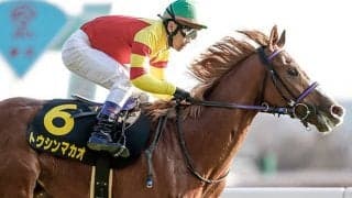 【ファルコンS想定】クロッカスS覇者トウシンマカオ、函館2歳S覇者ナムラリコリスなど23頭