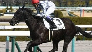 【フィリーズレビュー予想】疑うべきは「王道」!? 3歳乙女に求められるものとは