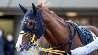 【金鯱賞前日オッズ】ジャックドールが2.1倍で1番人気、レイパパレが続く