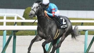 【フィリーズレビュー予想】近年と違い今年は好位で立ち回れる馬が優位か/万哲の馬場予報