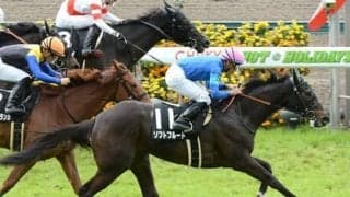 力ある先行馬が集った金鯱賞。末脚秘めた伏兵２頭が波乱を演出か