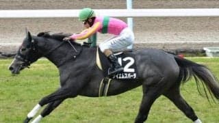 超難解フィリーズレビューは大穴４頭の激走に期待。絶好調「過去データ」が再び穴馬を導き出す