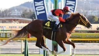 金鯱賞で血統的に大注目の２頭。父馬は「東京・芝2000ｍ」で抜群の勝率、最多勝馬だ