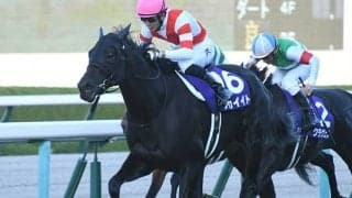 【金鯱賞予想】近5年で「3勝」も妙味は薄い!? 有馬記念組の取捨が重要なレース