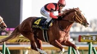 【今日の注目ポイント】中京で金鯱賞、阪神ではフィリーズレビュー