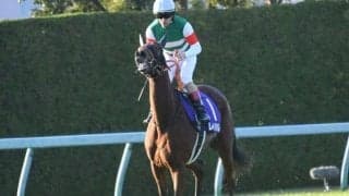 【金鯱賞予想】GIへの優先出走権を手にするのは…大阪杯と同じ距離で行われる別定重量のGII競走