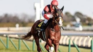 【金鯱賞予想】2-4番人気馬はなぜか不振？ キーワードは関西・4歳・内枠・逃げ馬！