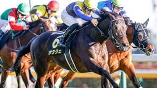 【AI予想・金鯱賞】ジャックドールではない「あの馬」を◎抜擢！ 4連勝でも「期待値」はあちら!?