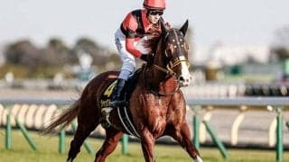 【金鯱賞・馬体重】ジャックドールは506kg(-2)、レイパパレは430kg(-4)