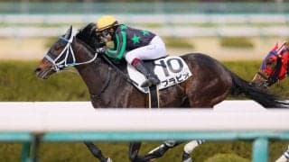 【阪神8R】女性ジョッキー今村聖奈がJRA初勝利