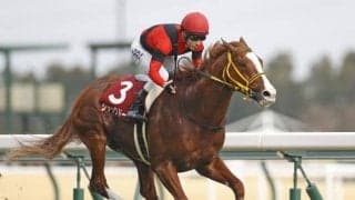 【金鯱賞結果】ジャックドールがレコードを1秒以上更新する圧巻逃げ切り！5連勝でいざGIへ