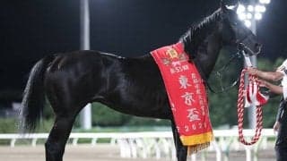 【高知・黒船賞】サクセスエナジーは吉原寛人騎手に乗り替わり、松山弘平騎手の落馬負傷で