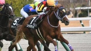 JRAは3日間開催 スプリングS・阪神大賞典・ファルコンS・フラワーC/今週の競馬界の見どころ