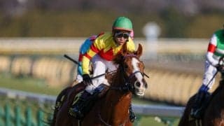 【ファルコンS登録馬】トウシンマカオなど20頭