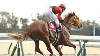 【金鯱賞】売上は73億3517万1300円で昨年からおよそ5.8億円の増加