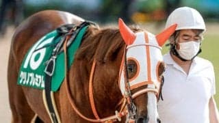 【中山牝馬S】売上は45億1564万4800円で昨年からおよそ1.2億円の減少