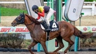 【千葉Sハンデ確定】アポロビビは57.0kg、ジェネティクスは56.0kg