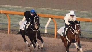 【阪神大賞典想定騎手】ディープボンドは和田竜二騎手、ユーキャンスマイルは藤岡佑介騎手