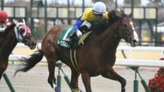 【次走】ルークズネストはマイラーズCを目標に調整　昨年のファルコンS覇者