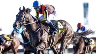 【次走】インダストリアはNHKマイルCへ 前走は弥生賞で5着