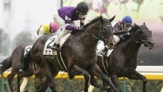 【スプリングS想定騎手】アサヒは田辺裕信騎手、アライバルはC.ルメール騎手