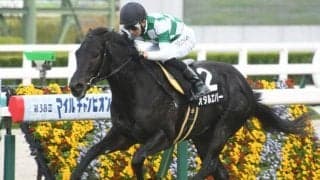 【ファルコンS展望】好走条件に合うあの馬の巻き返しを期待したい