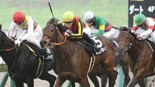 【フラワーC想定騎手】スタニングローズは川田将雅騎手、シンティレーションは横山武史騎手