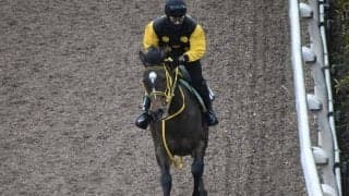 アルーリングウェイなど、先週の入厩情報/栗東トレセンニュース