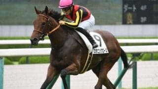 【フラワーC予想オッズ】スタニングローズが予想1番人気