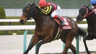 産駒は今年すでに重賞5勝！その種牡馬とは？