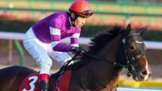 【スプリングS予想オッズ】アサヒが予想1番人気