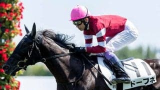 AIはあの5億円ホースをどう評価？ スプリングSで指名した注目の1頭