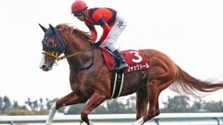 金鯱賞制覇のジャックドールを出したモーリス産駒はアベレージの高さが魅力