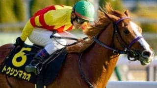 【ファルコンS予想オッズ】トウシンマカオが予想1番人気