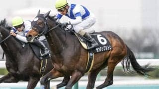 【阪神大賞典展望】天皇賞・春の前哨戦、あの穴馬の大駆けを期待したい