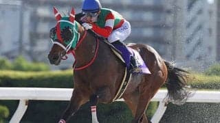 【高知・黒船賞 13時時点オッズ】ラプタスが単勝1.7倍の1番人気　ヘリオス、イグナイターと続く