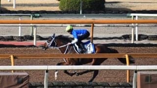 ディバインフォース、日経賞1週前追い切り速報/栗東トレセンニュース