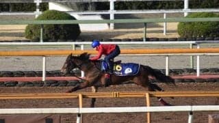 メイケイエール、高松宮記念1週前追い切り速報/栗東トレセンニュース