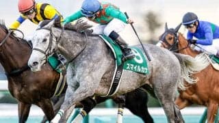 スマイルカナが引退、ターコイズSなど重賞2勝　今後は繁殖入りを予定