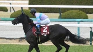 【次走】フィリーズレビュー2着のナムラクレアは桜花賞へ