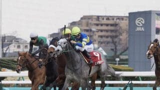 エメラルファイトが競走馬登録抹消