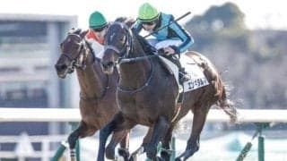 【スプリングS展望】クラシックへ繋がる前哨戦、前走好走組が中心