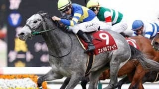 【JRA】2019年スプリングS覇者エメラルファイトが船橋競馬に移籍へ