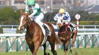 【フラワーC展望】先行力が求められる世代最初の牝馬中距離重賞