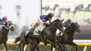【スプリングS出走馬・騎手確定】アサヒ＆田辺裕信騎手、アライバル＆C.ルメール騎手など13頭