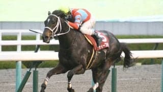 【阪神大賞典出走馬・騎手確定】ディープボンド＆和田竜二騎手、マカオンドール＆吉田隼人騎手など13頭