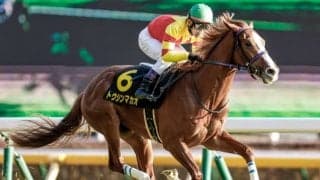【ファルコンS出走馬・騎手確定】トウシンマカオ＆戸崎圭太騎手、デュガ＆武豊騎手など18頭
