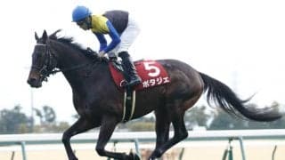 【次走】ポタジェは状態を見ながら大阪杯へ 前走の金鯱賞では4着
