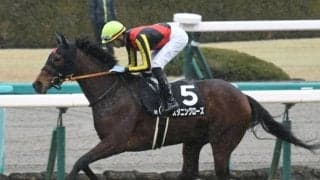 【フラワーC出走馬・騎手確定】スタニングローズ＆川田将雅騎手、シンティレーション＆横山武史騎手など12頭